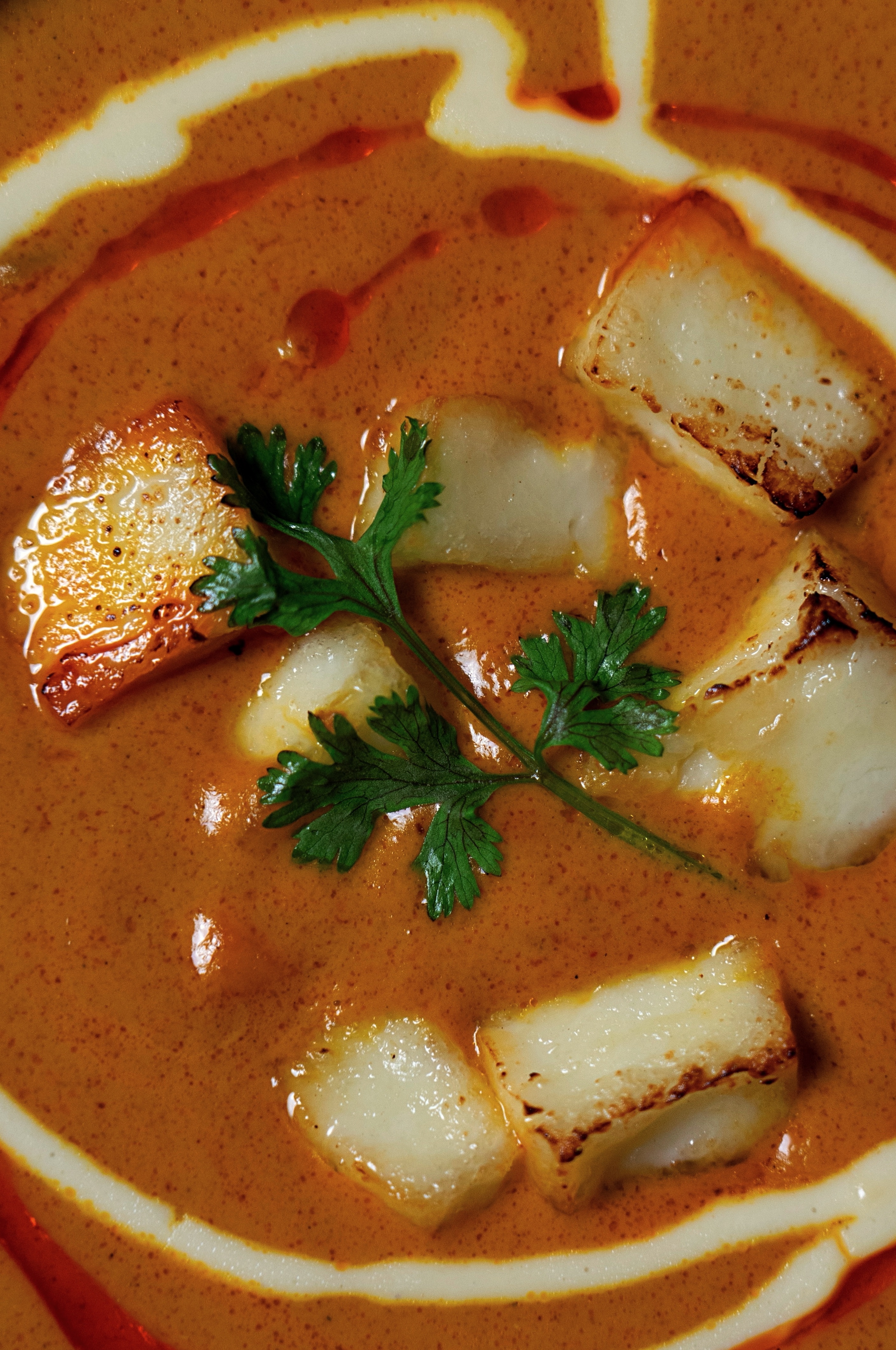 Zushi brand visual 1